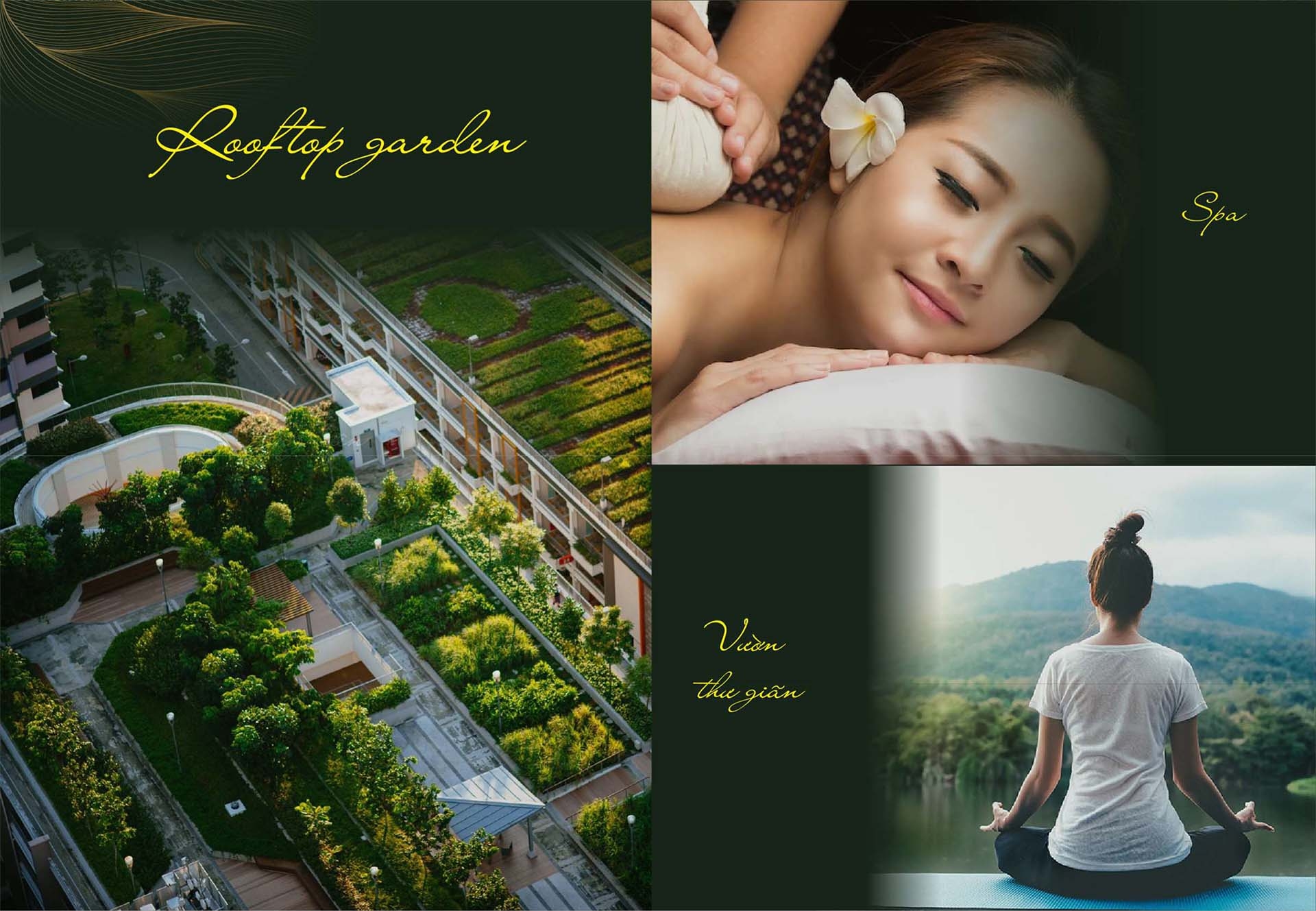 Hồ bơi và tiện ích nội khu đẳng cấp tại Bcons City